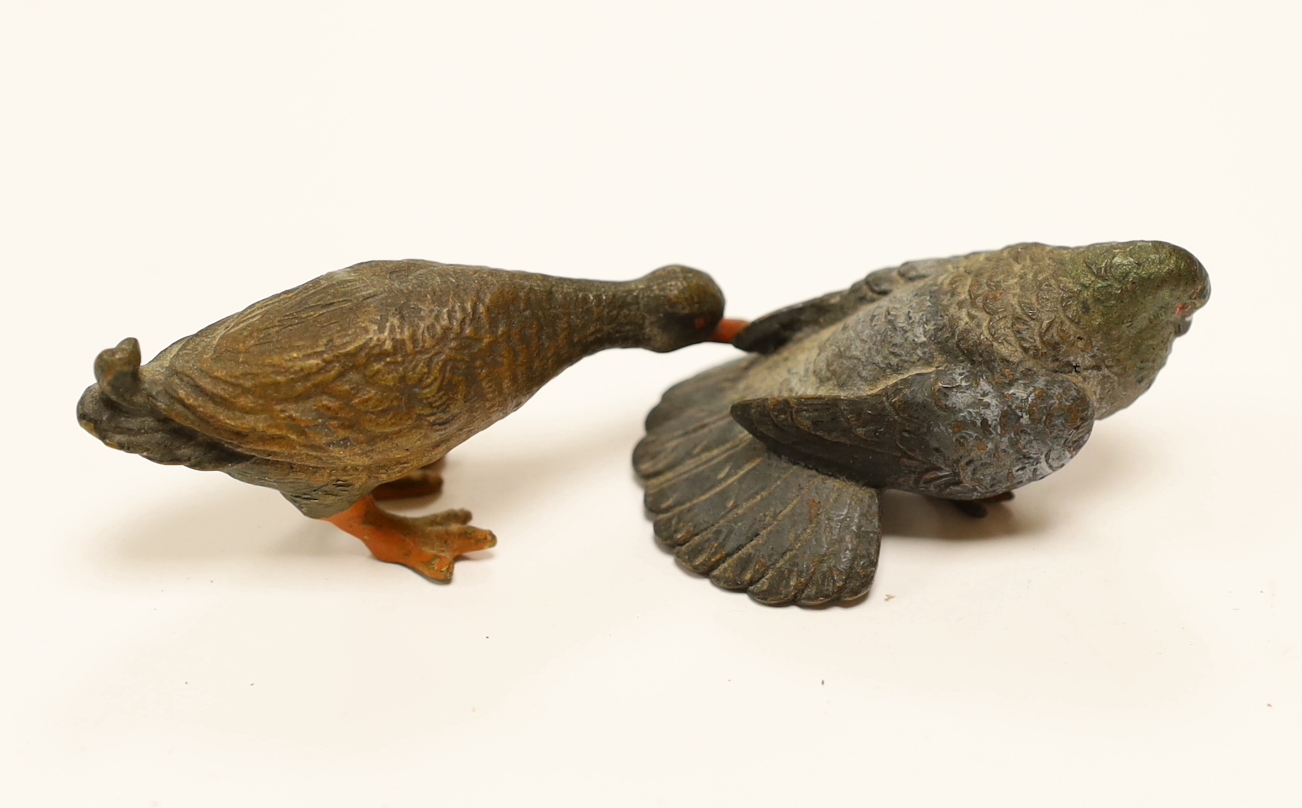 An Austrian cold painted model of a Duck and a Fan Tailed Pigeon, Duck 7cm wide